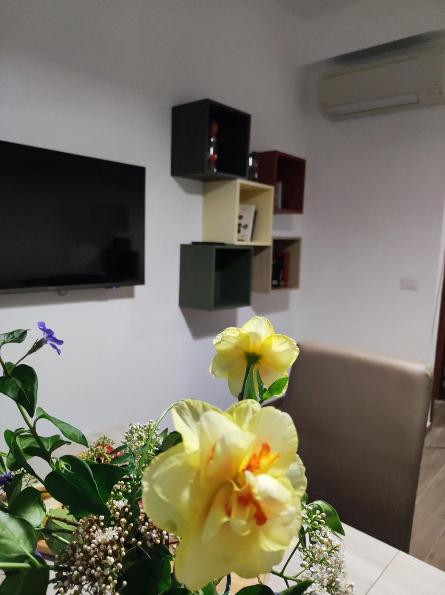 Consoli Home 로마 외부 사진